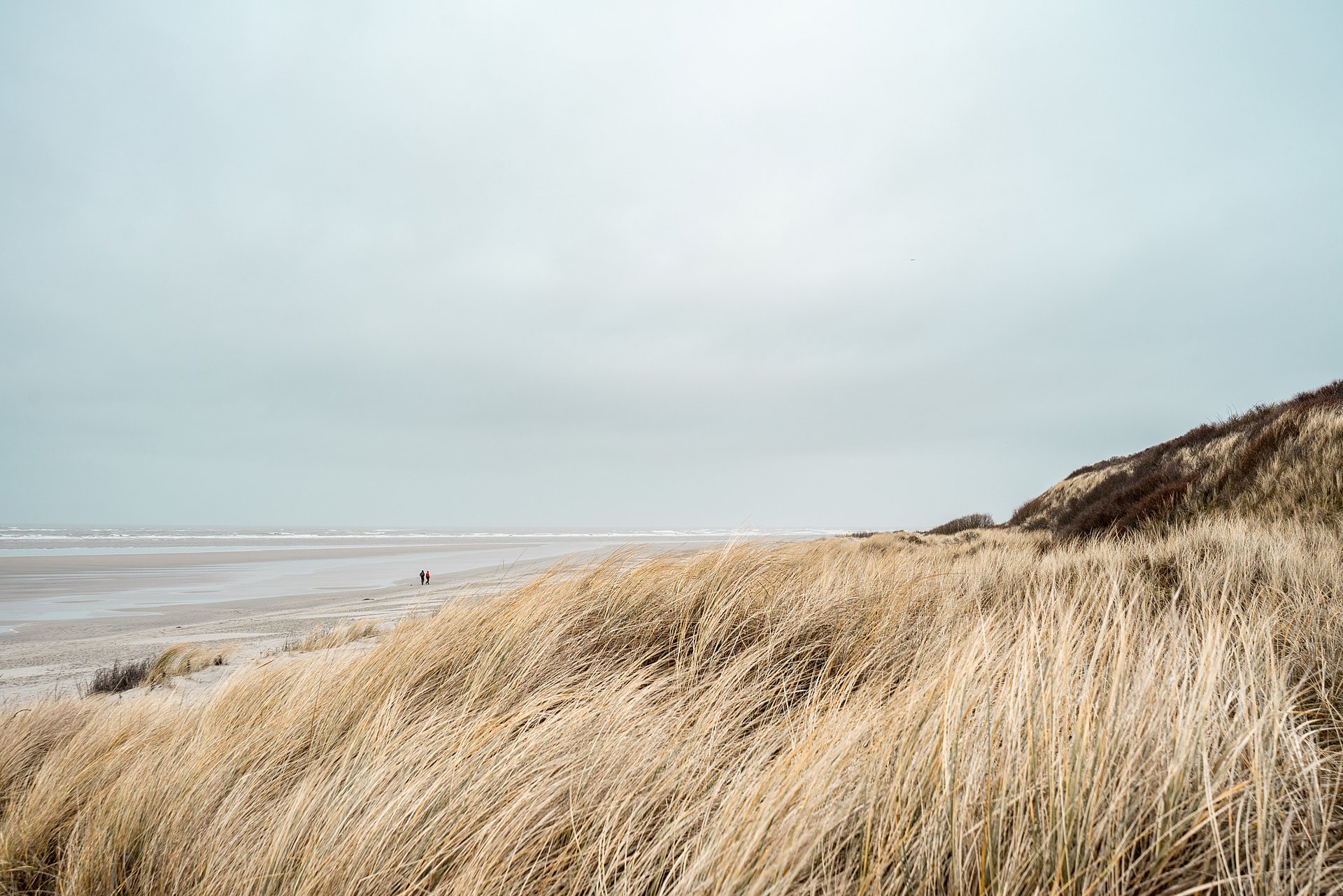 Der Spiekerooger Strand mit Spaziergängern im Winter