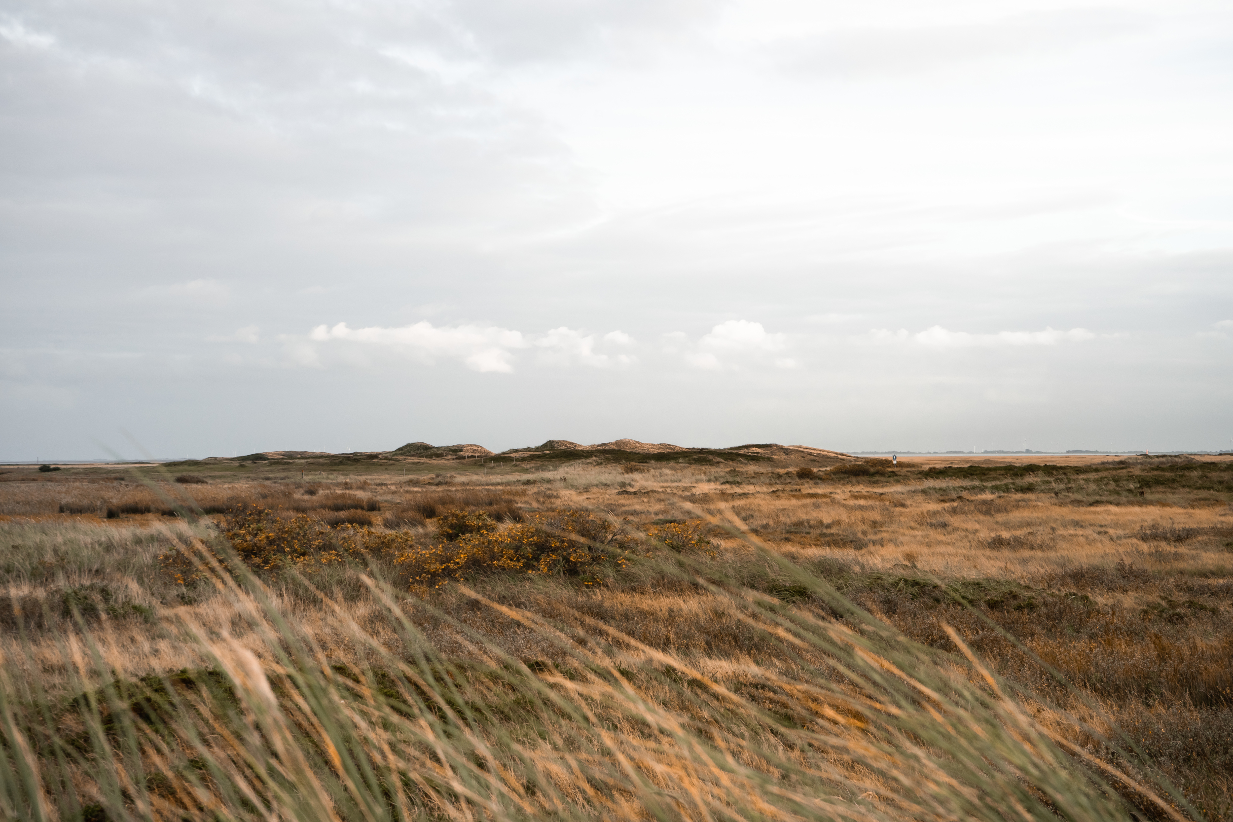 Dünenlandschaft auf Spiekeroog im Herbst