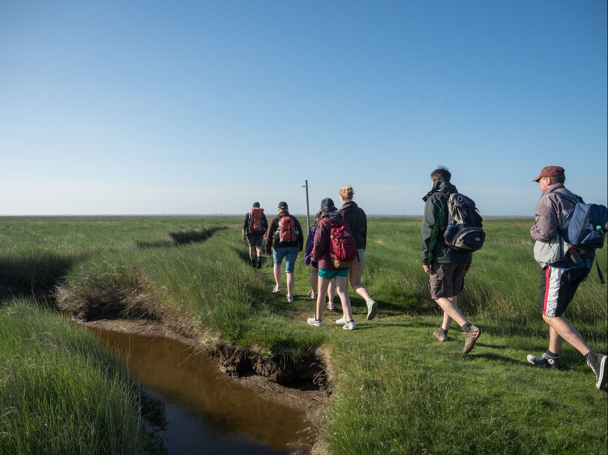 Eine Wanderung durch die Salzwiesen auf Spiekeroog