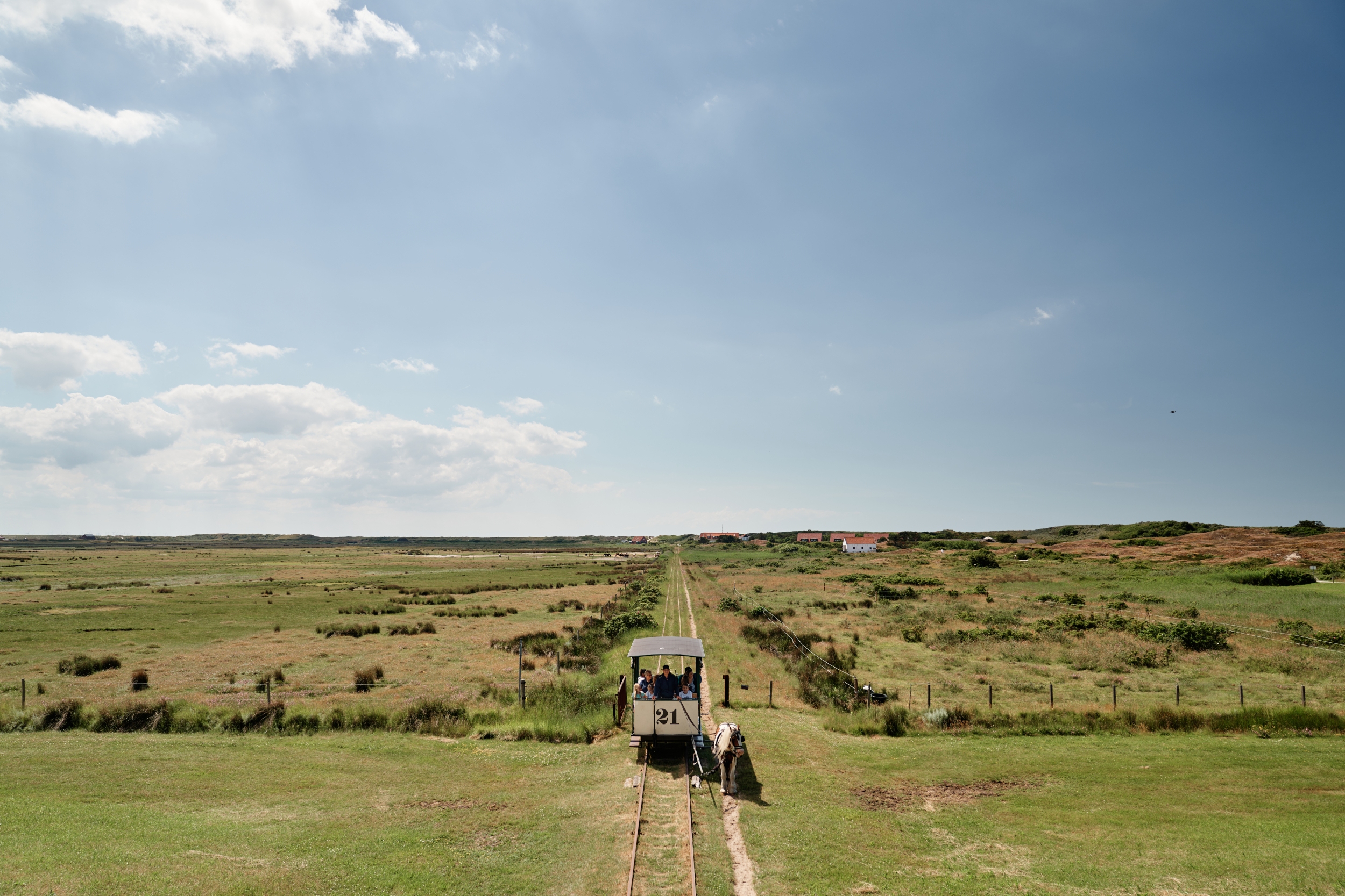 Die Spiekerooger Pferdebahn auf dem Rückweg vom Westen der Insel