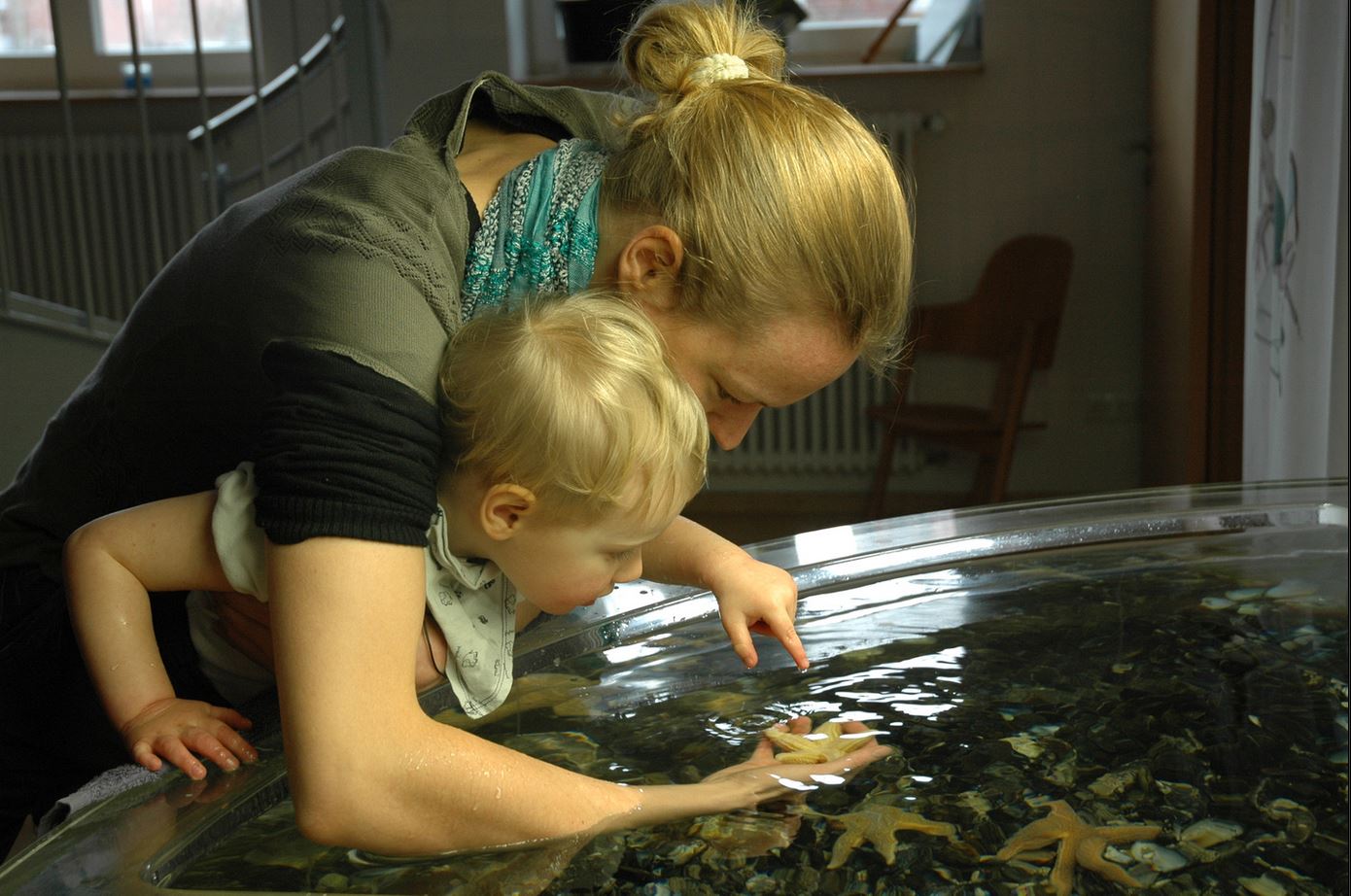 Eine Frau mit Ihrem Kind im Nationalpark-Haus Wittbülten