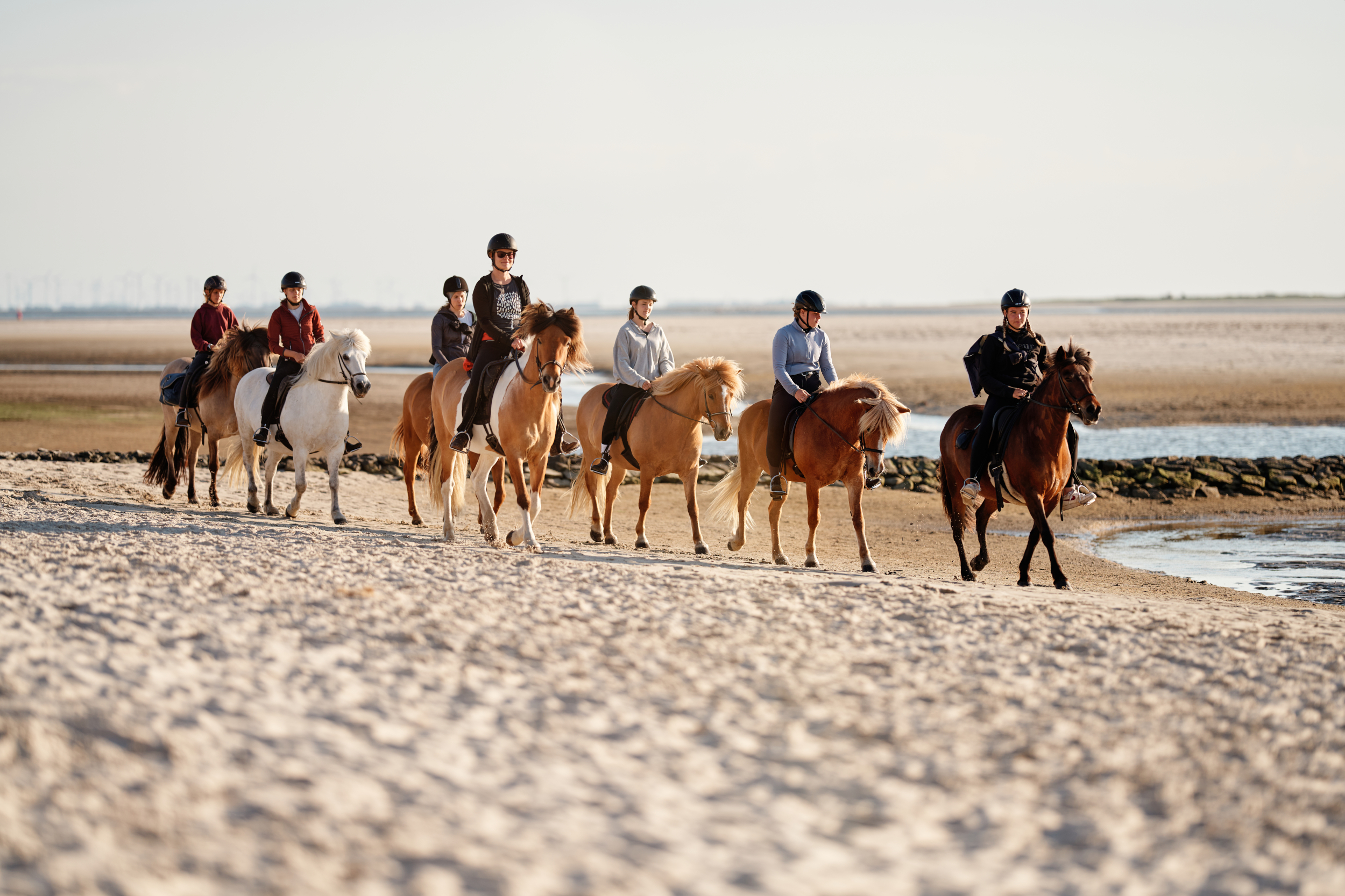 Eine gruppe von Menschen reitet auf Islandpferden am Strand von Spiekeroog 