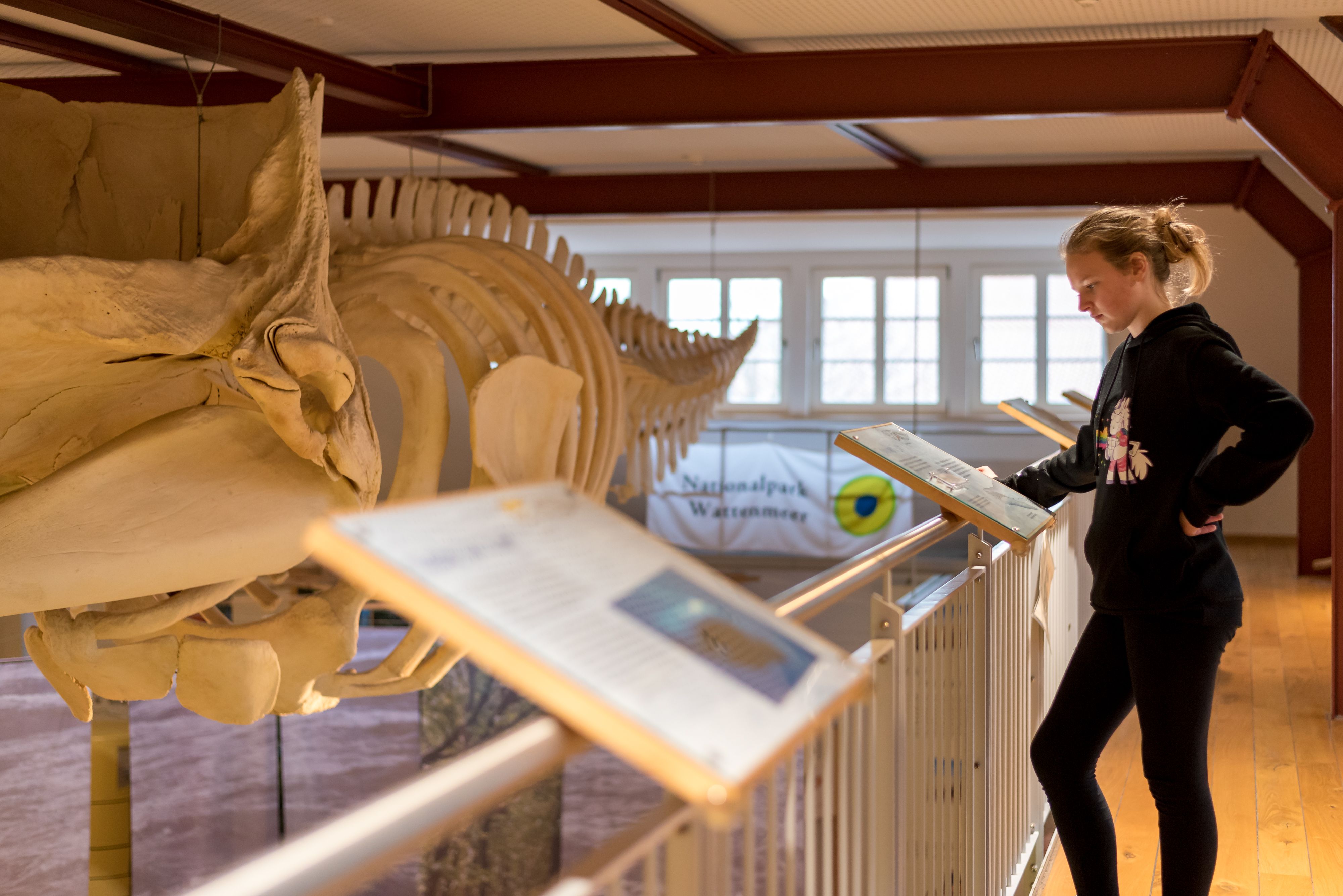 Eine Frau liest an den Infotafeln im Nationalpark-Haus Wittbüten