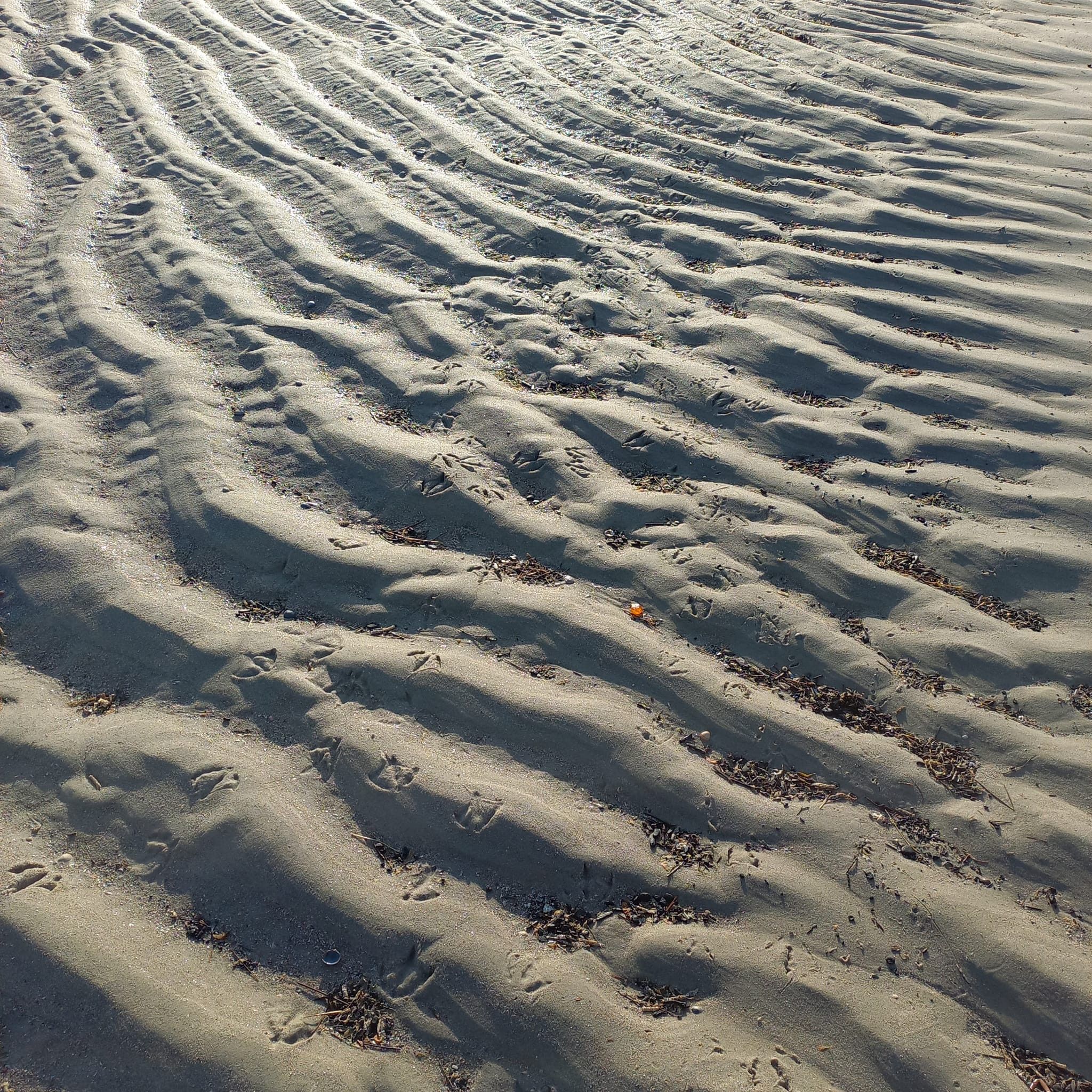 Bernstein am Strand